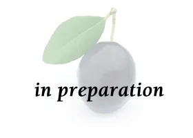 Prune/Dried Plum